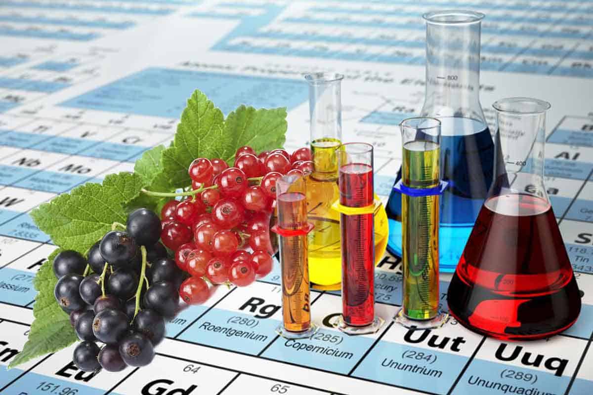 Are Our Products 